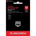 FiTExtr64-1.jpg