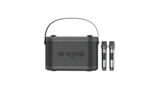 W-King H10 czarny Przenośny głośnik bezprzewodowy 