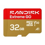 SanDisk EXTREME GO micro SDHC 32GB 100/60 MB/s UHS-I 