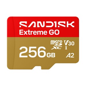 SanDisk EXTREME GO micro SDXC 256GB 240/160 MB/s UHS-I 