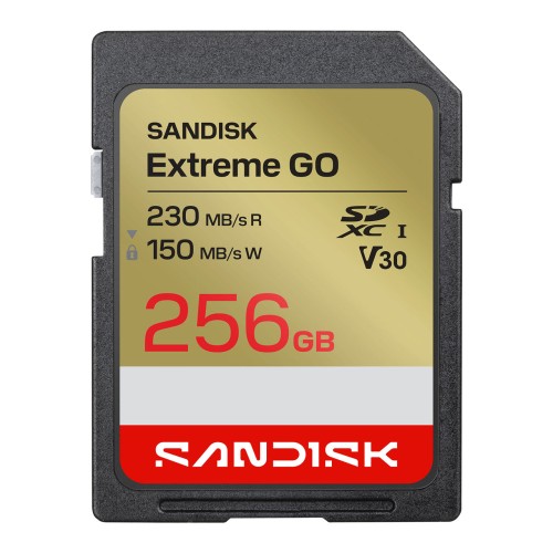 Sandisk_SDSDXGN-256G-GNCIN_1.jpg