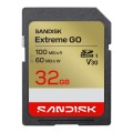 Sandisk_SDSDXGN-032G-GNCIN_1.jpg