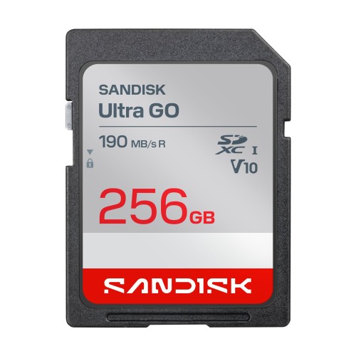 Sandisk_SDSDUGN-256G-GN6IN_1.jpg