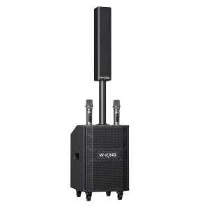 W-King K22 Przenośny głośnik bezprzewodowy z 2 mikrofonami czarny